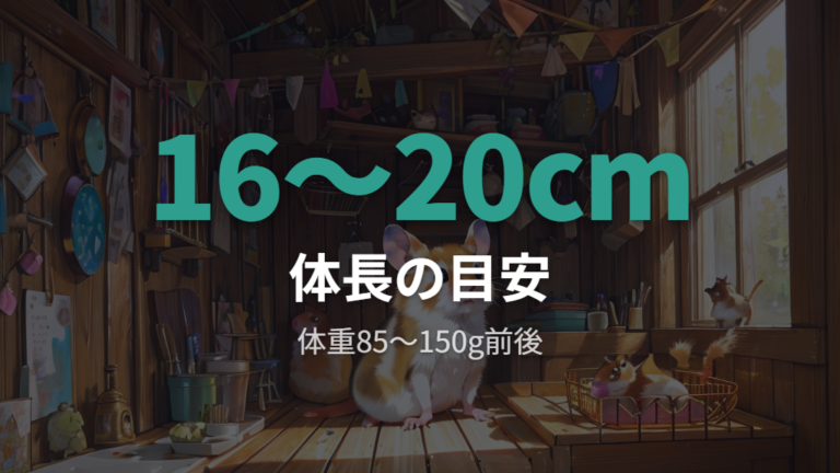 平均的な体長と体重の目安をまず確認する