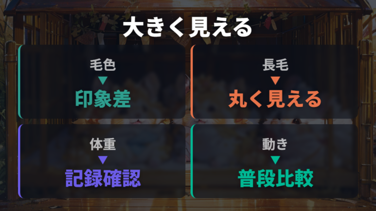 毛色や種類で大きく見える理由を整理する