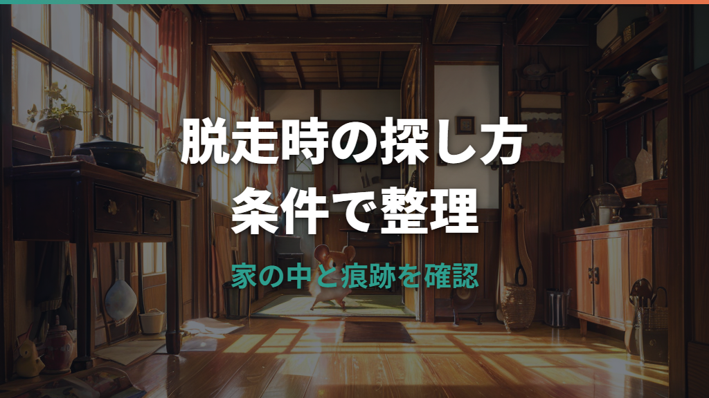 ハムスター脱走で見つかる確率は？日数の目安と家の中の探し方