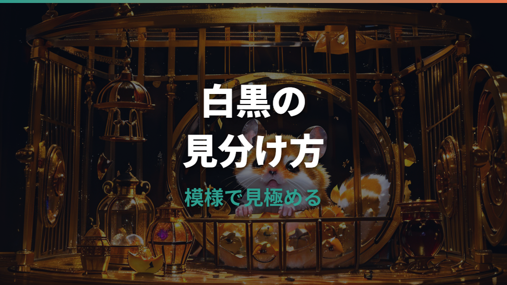 ゴールデンハムスターの白黒は珍しい？毛色名・模様・価格と飼い方を解説