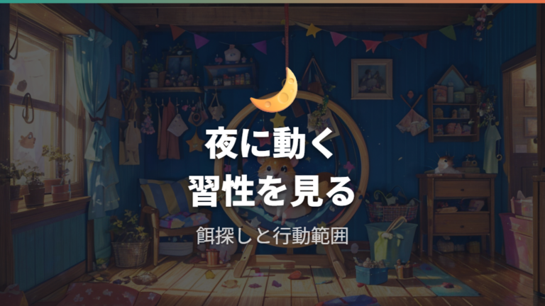 回し車を走る本能的な理由は探索や採食に伴う夜の移動行動にある