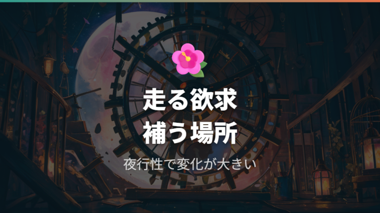 回し車が必要とされる理由を本能から見る