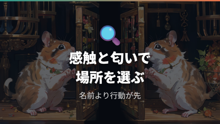 トイレと砂場を間違える原因は感触とにおいにある