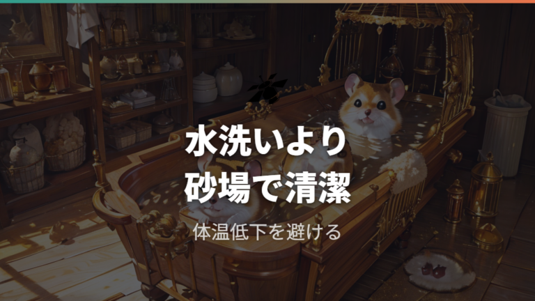 砂浴び場を用意したい理由は清潔ケアと行動面の補助