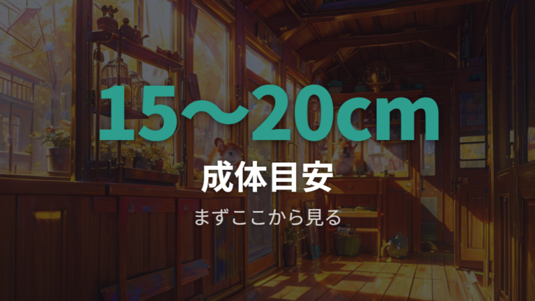ゴールデンハムスターの平均サイズは15〜20cm前後で見る