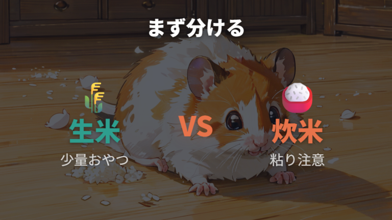 米は食べてもいいのかをまず整理する
