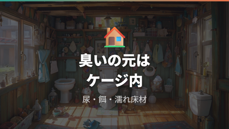 部屋が臭くなる主な原因はまずケージ内から確認する