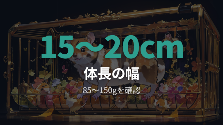 平均サイズと体重の目安で全体像をつかむ