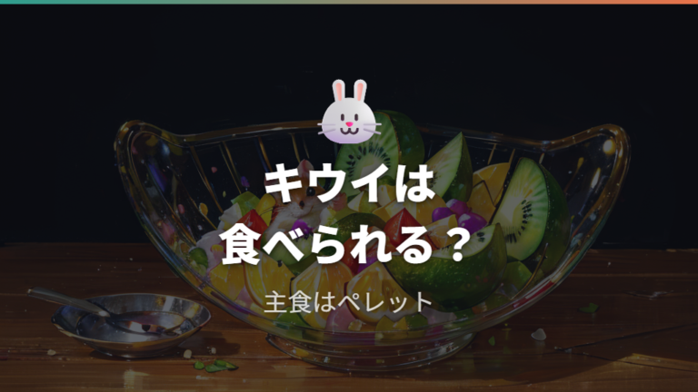 キウイは少量のおやつとして与え方の確認が大切