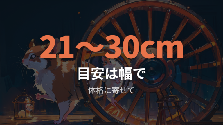 適切な回し車の直径目安は姿勢とあわせて考える