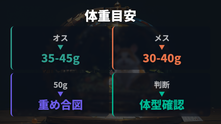 50gは太りすぎなのかをまず平均体重から見る