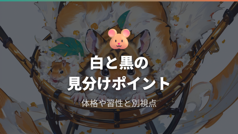 ダルメシアン柄の見た目と特徴を押さえる