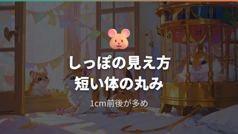 しっぽの長さと見た目の特徴をまず押さえる