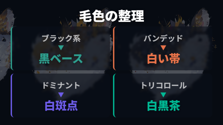 白黒に見える毛色名・販売表記を整理する