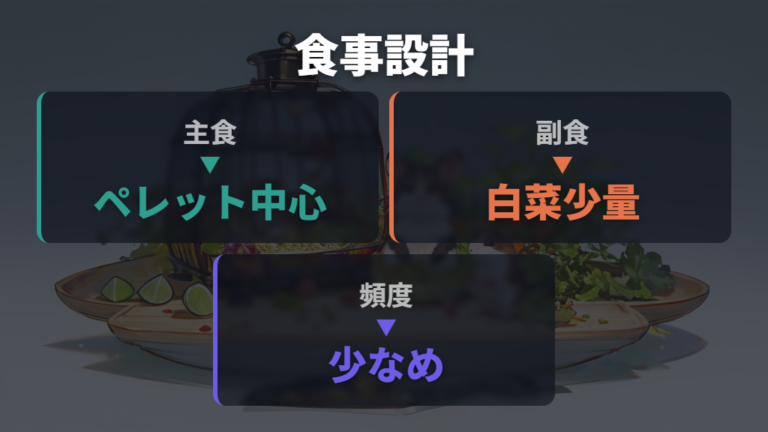 白菜の安全性と基本の考え方は副食として少量にすること