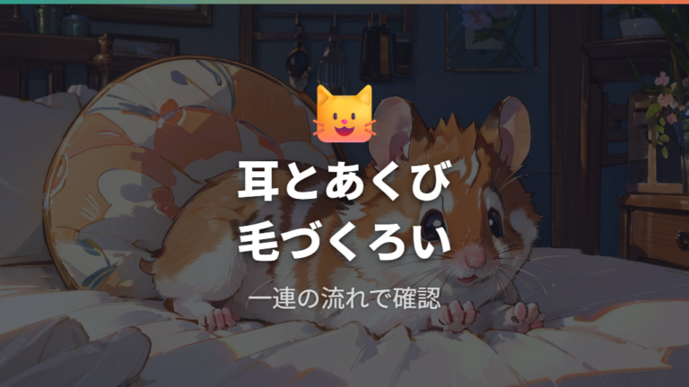 耳・あくび・毛づくろいは落ち着きにもストレスにも見える