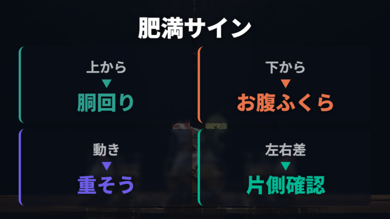 体型でわかる肥満のサインを上から下から確認する