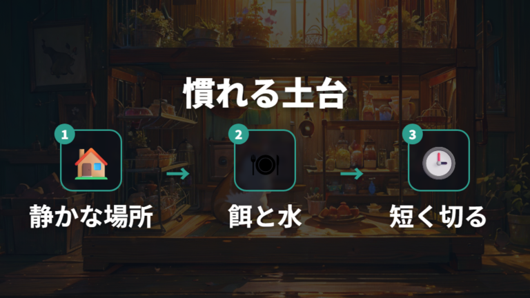 人に慣れるまでの基本傾向は敵ではないと覚えること