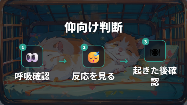 仰向け寝を見たら呼吸と反応も確認する