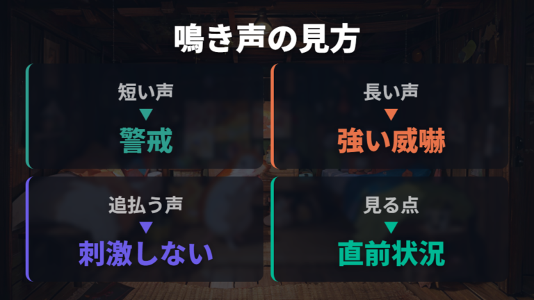 ジージー鳴くときの意味は声と状況を合わせて読む
