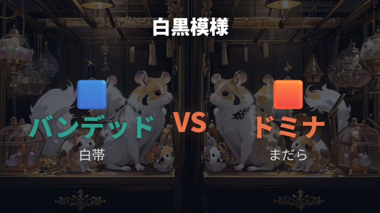 白黒に見える代表的な模様を比較する