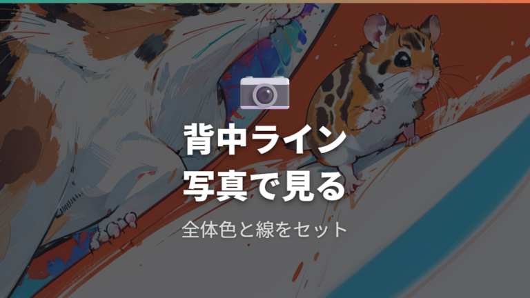 写真でわかるカラーの違いは背中のラインで見る