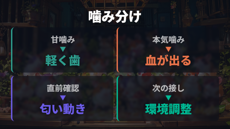 噛まれる原因を行動から見分ける