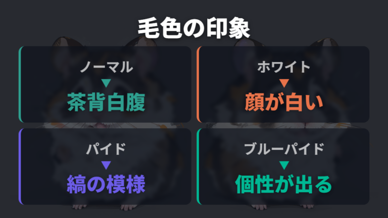写真でわかる表情のかわいさは毛色でも変わる