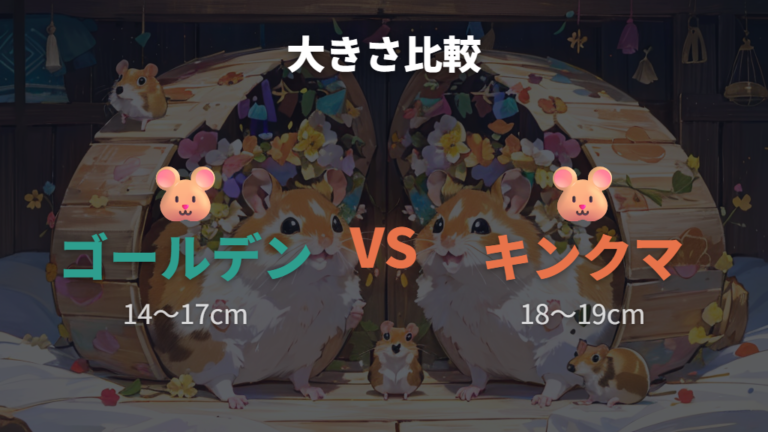 ゴールデンとの大きさの違いはどこに出るか