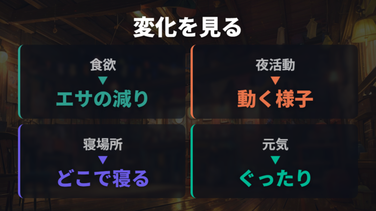 ストレスのサインとの見分け方は食欲と夜の活動を見る