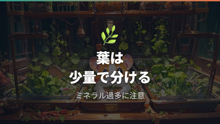 大根の葉は与えてよいか栄養とリスクを比べる