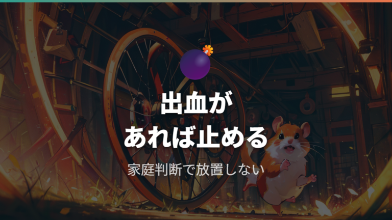 足のケガや出血があるときは家庭判断で放置しない