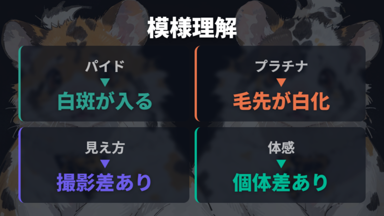 パイドやプラチナなど模様と毛質の違いを知る