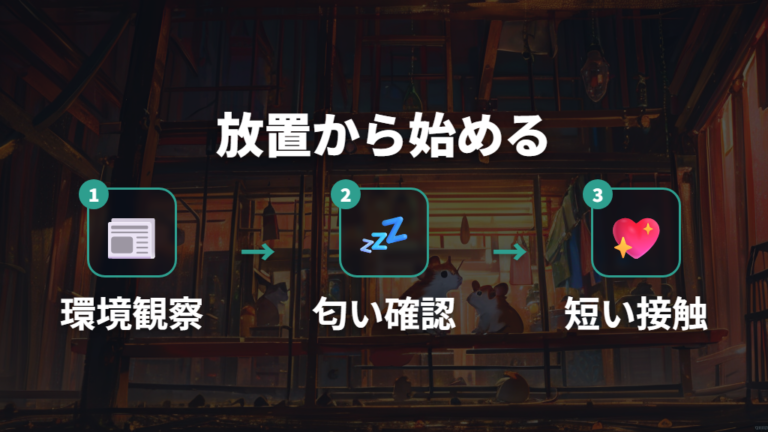 眠るほど慣れるまでの接し方は見守り期間から始める
