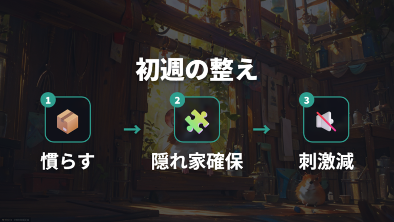 迎えた直後の慣らし方は最初の数日から1週間が土台