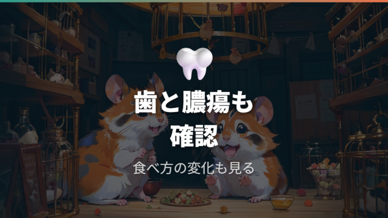 歯や頬袋の病気が背景にある場合は目以外の変化も見る