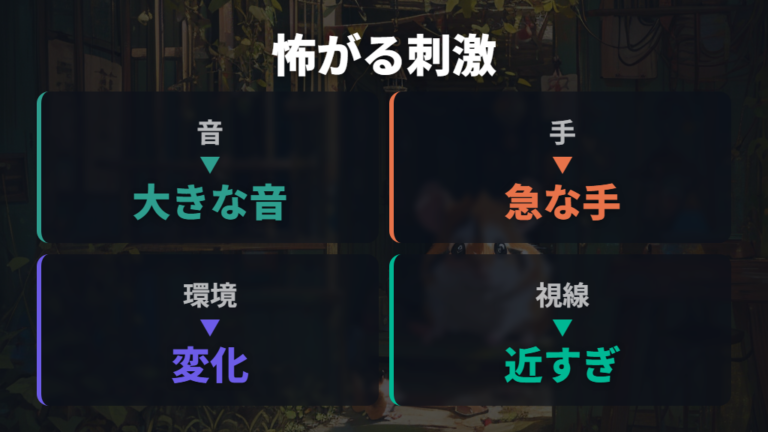 怖がって威嚇するケースは音・手の出し方・環境変化に出やすい