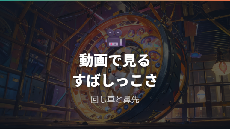 動画で見たいすばしっこい動きの見どころ