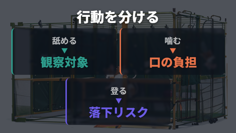 舐め続けることで起きるリスクは噛む・登る行動と分けて考える
