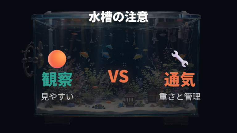水槽ケージの広さと通気性は安全面とセットで考える