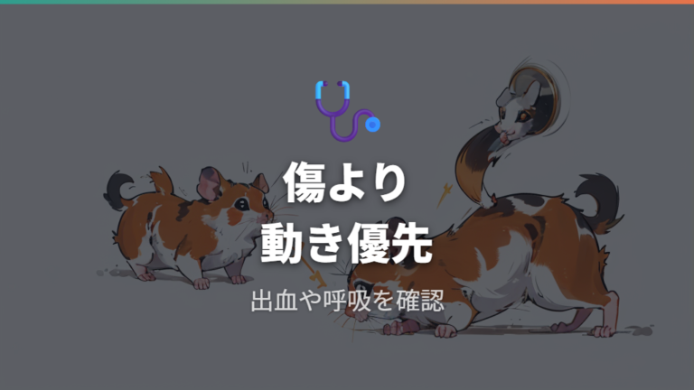 けがをした個体の受診目安は出血と動きの変化で見る