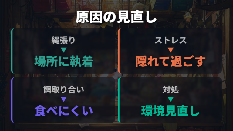 喧嘩が起きる原因は縄張り・ストレス・餌の取り合い