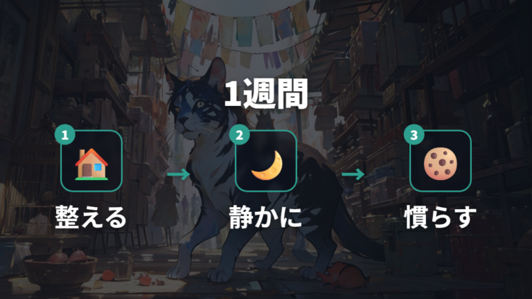 ロボロフスキーの慣らし方は最初の数日から考える