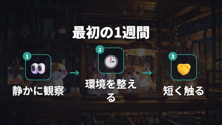 手の上で安心させる慣らし方は最初の1週間から始まる