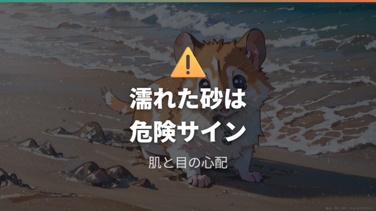 砂による健康リスクは汚れた砂と細かすぎる砂に注意
