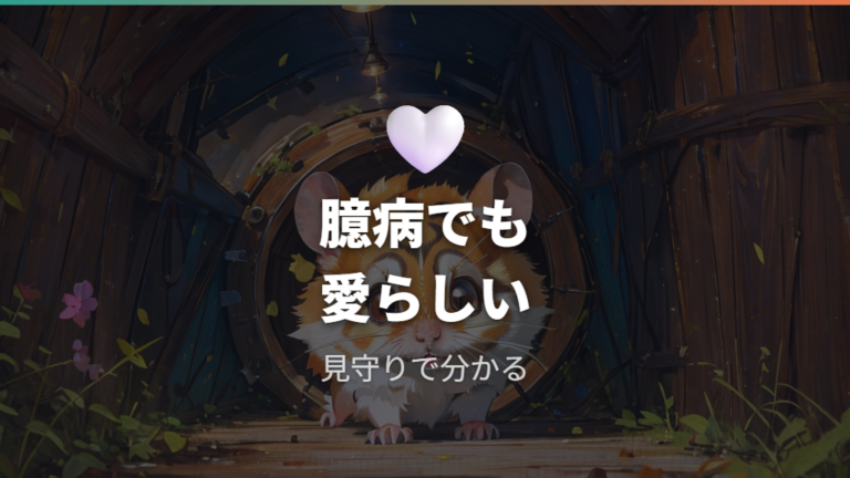 臆病だけど愛らしい性格は観察で伝わる