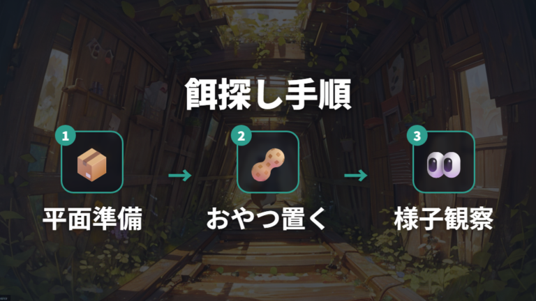 餌探し遊びで退屈を防ぐ手順