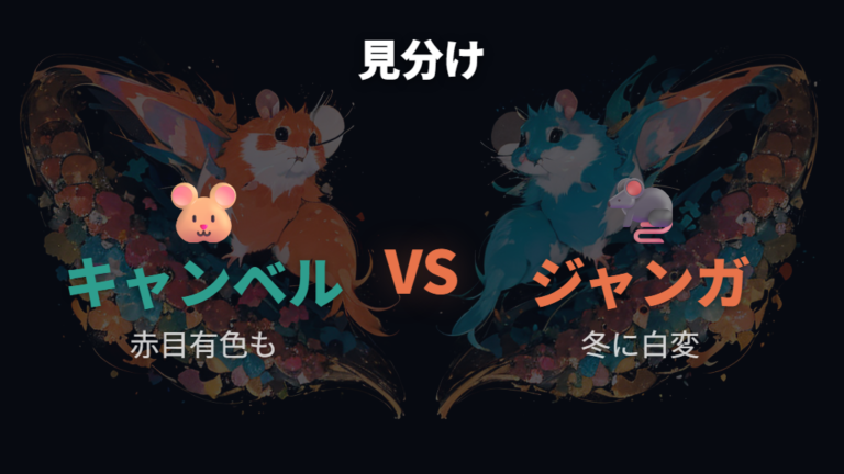 ジャンガリアンとの色の違いは赤目と背線も見る