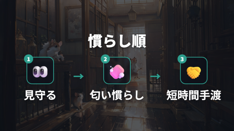 噛み癖を直す慣らし方は手の匂いに慣れる順番で進める