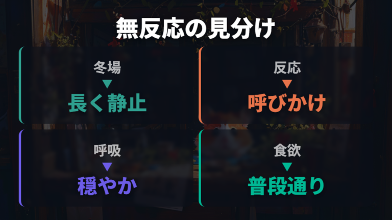 丸まって動かないときの注意点は冬場と反応を見る